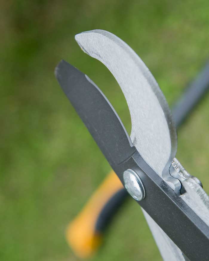 Garden tools talk about hand tools